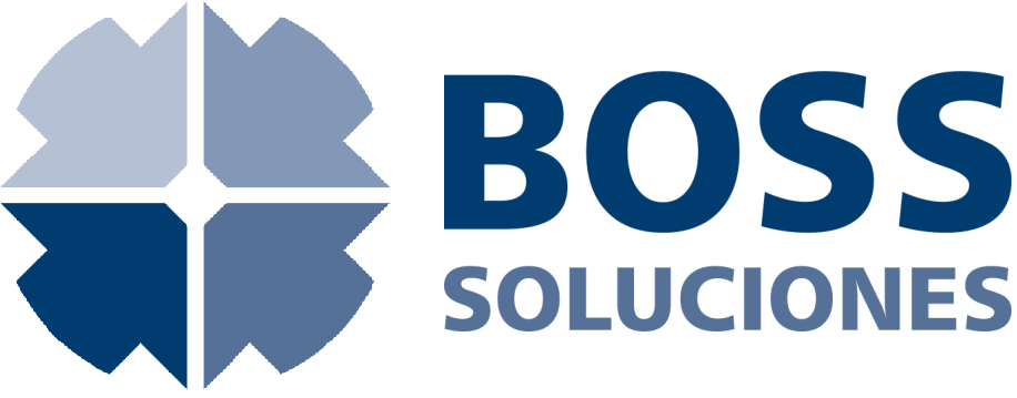 BOSS Soluciones